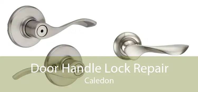 Door Handle Lock Repair Caledon