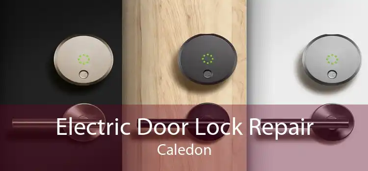 Electric Door Lock Repair Caledon
