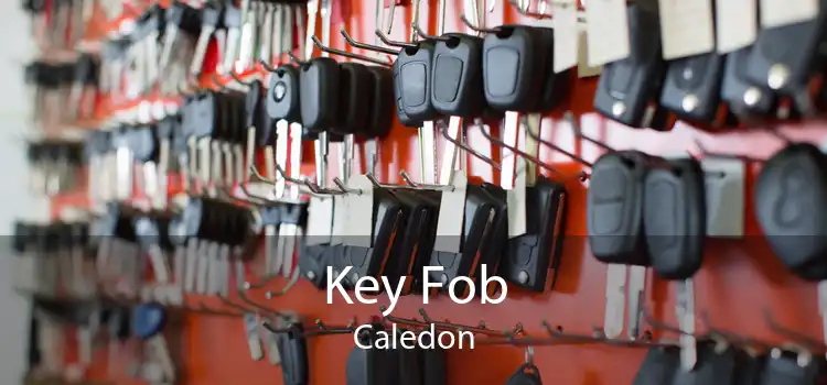 Key Fob Caledon