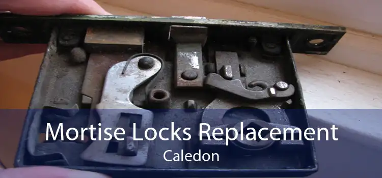Mortise Locks Replacement Caledon